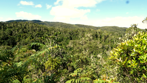 réserve d'Ambodivoasary